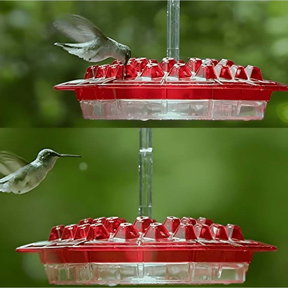 Comedero Colgante para Colibríes con Néctar para Jardín