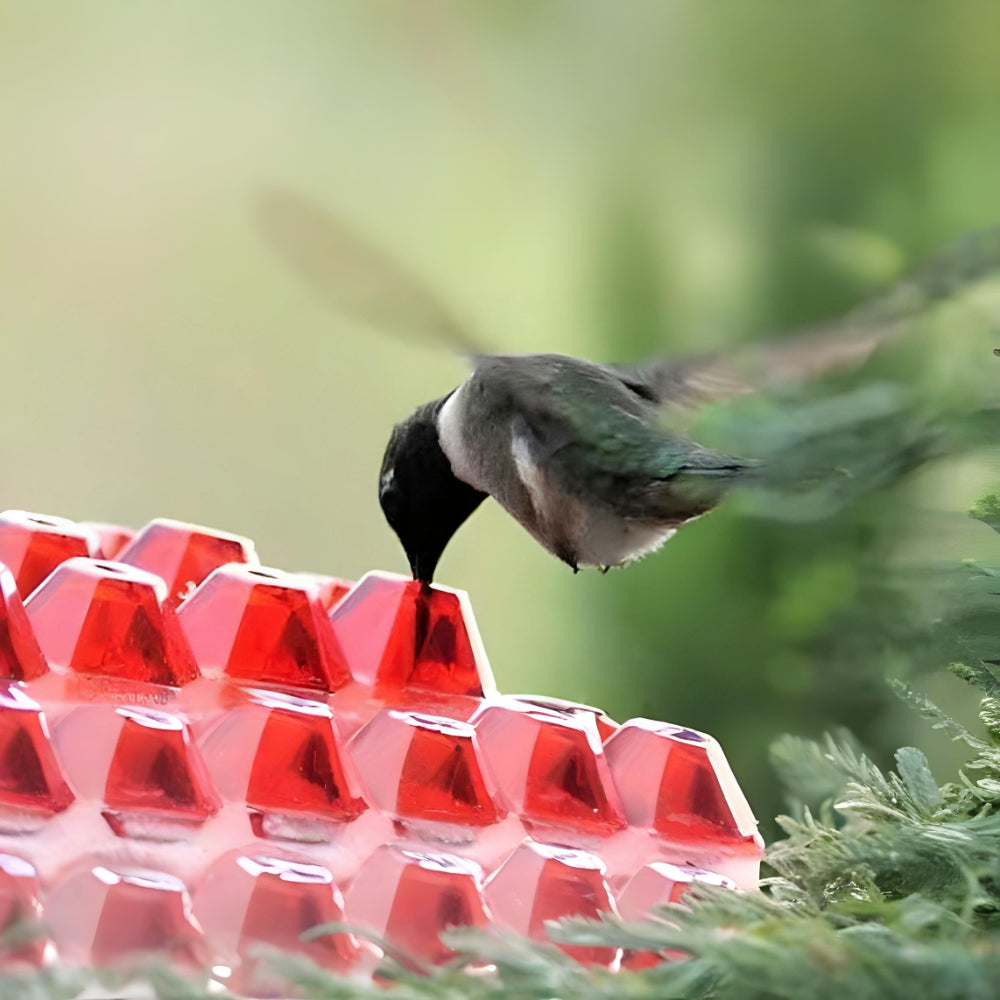 Comedero Colgante para Colibríes con Néctar para Jardín