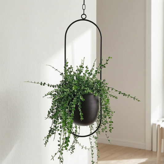 Macetero colgante de hierro con planta en un salón