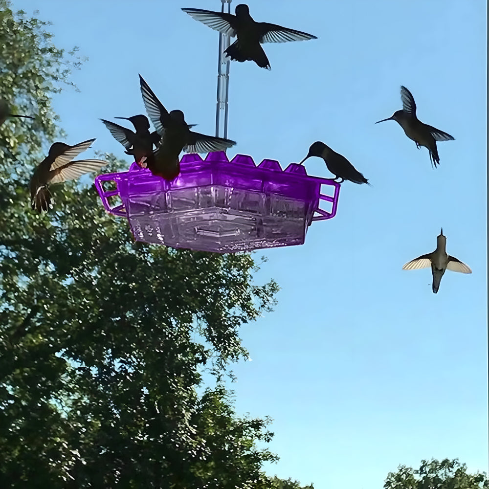Comedero Colgante para Colibríes con Néctar para Jardín