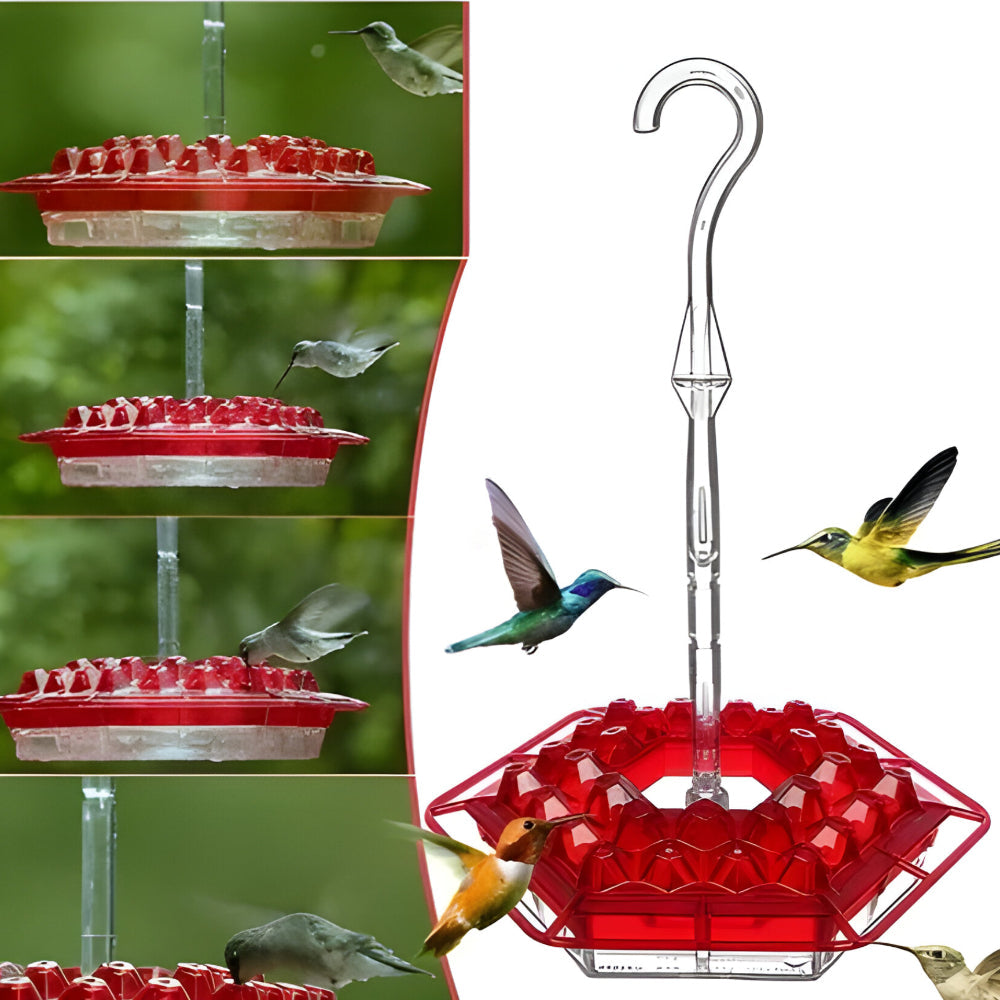 Comedero Colgante para Colibríes con Néctar para Jardín