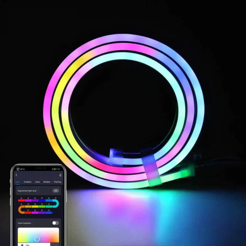 Tira de Luces LED Neón RGB con Control por App y Mando