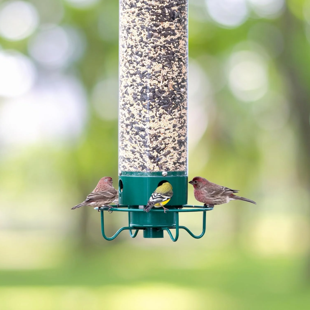 Comedero para Pájaros Antiardillas de Metal Colgante en Tubo