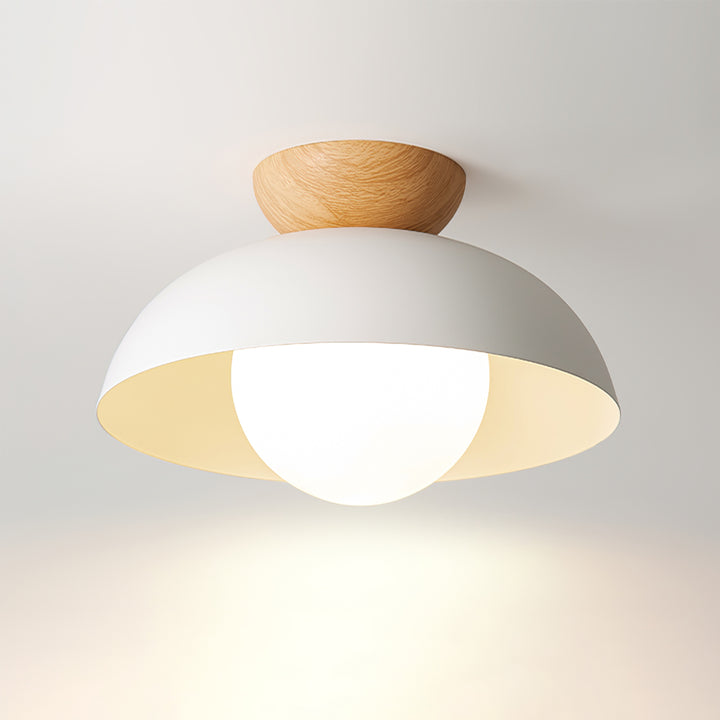 Plafón Nordic Dome Cúpula de Metal y Vidrio G9 Minimalista