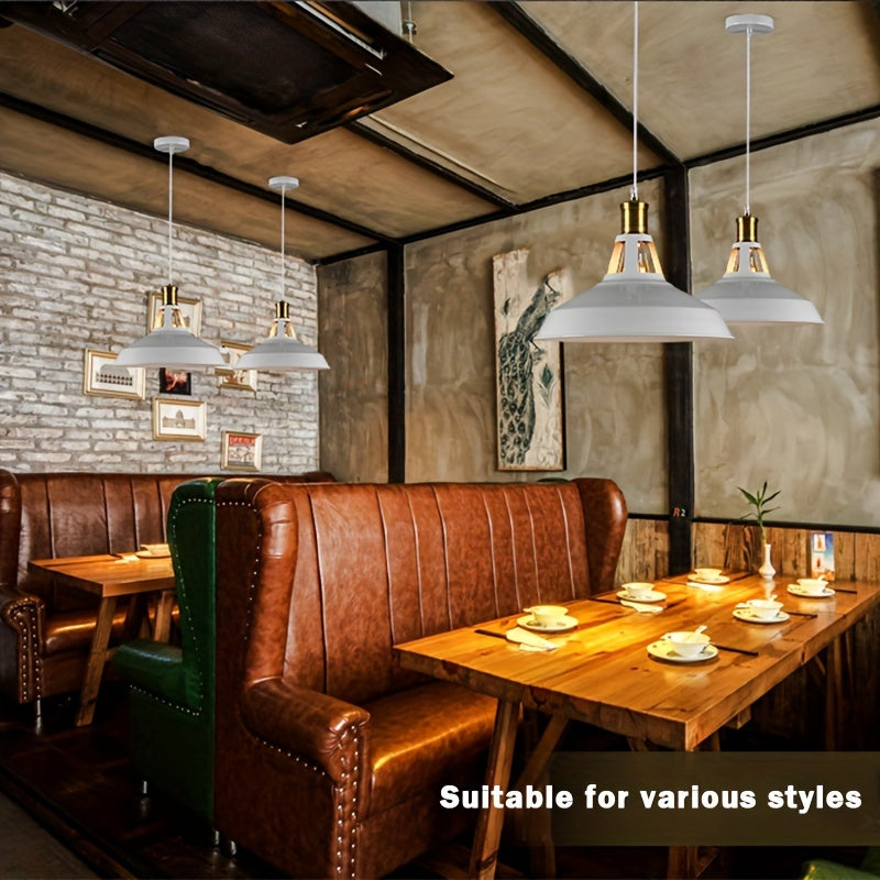 Lámpara Colgante Industrial de Metal Estilo Loft Retro Mate