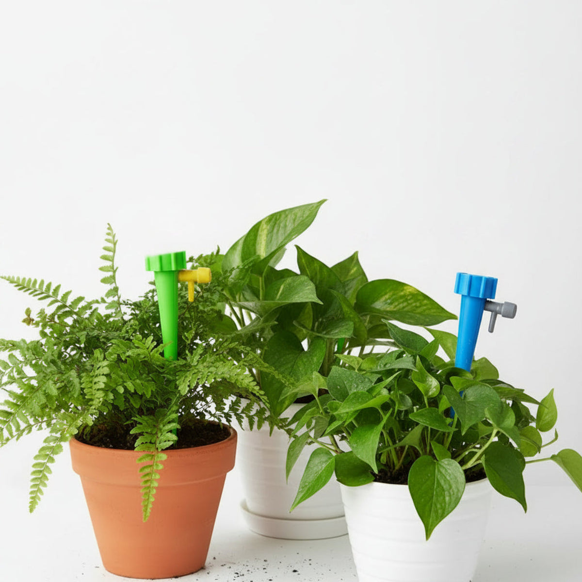 Picos de Riego Automático para Plantas con Botella, Pack