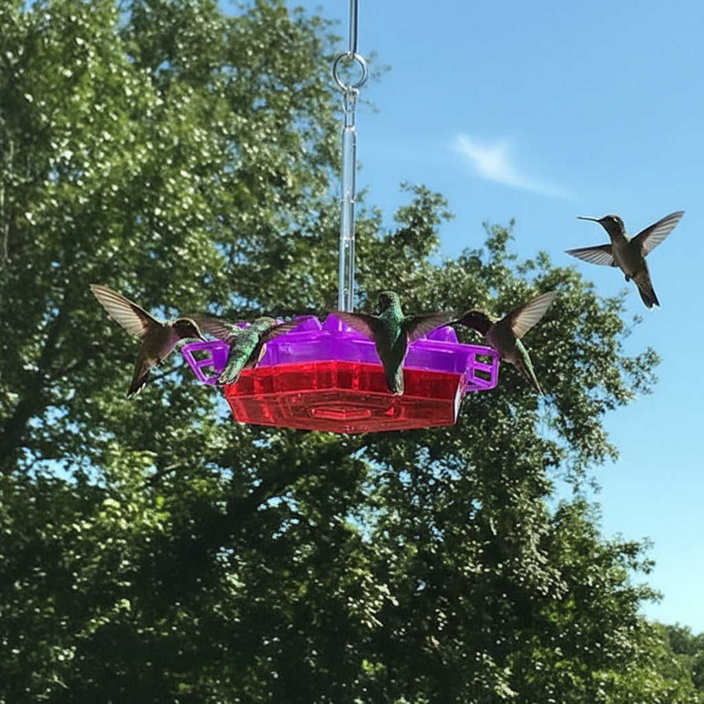 Comedero Colgante para Colibríes con Posadero para Jardín