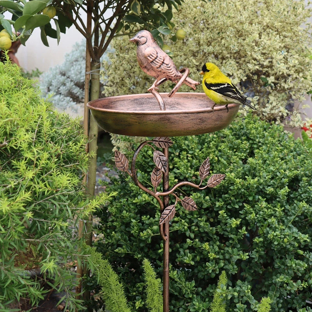 Bebedero para Pájaros de Metal con Pie Decorativo de Jardín