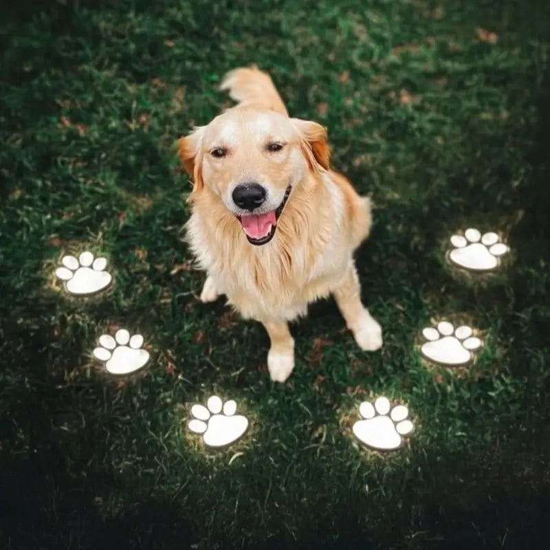 Luces Solares con Huella de Pata para Caminos de Jardín