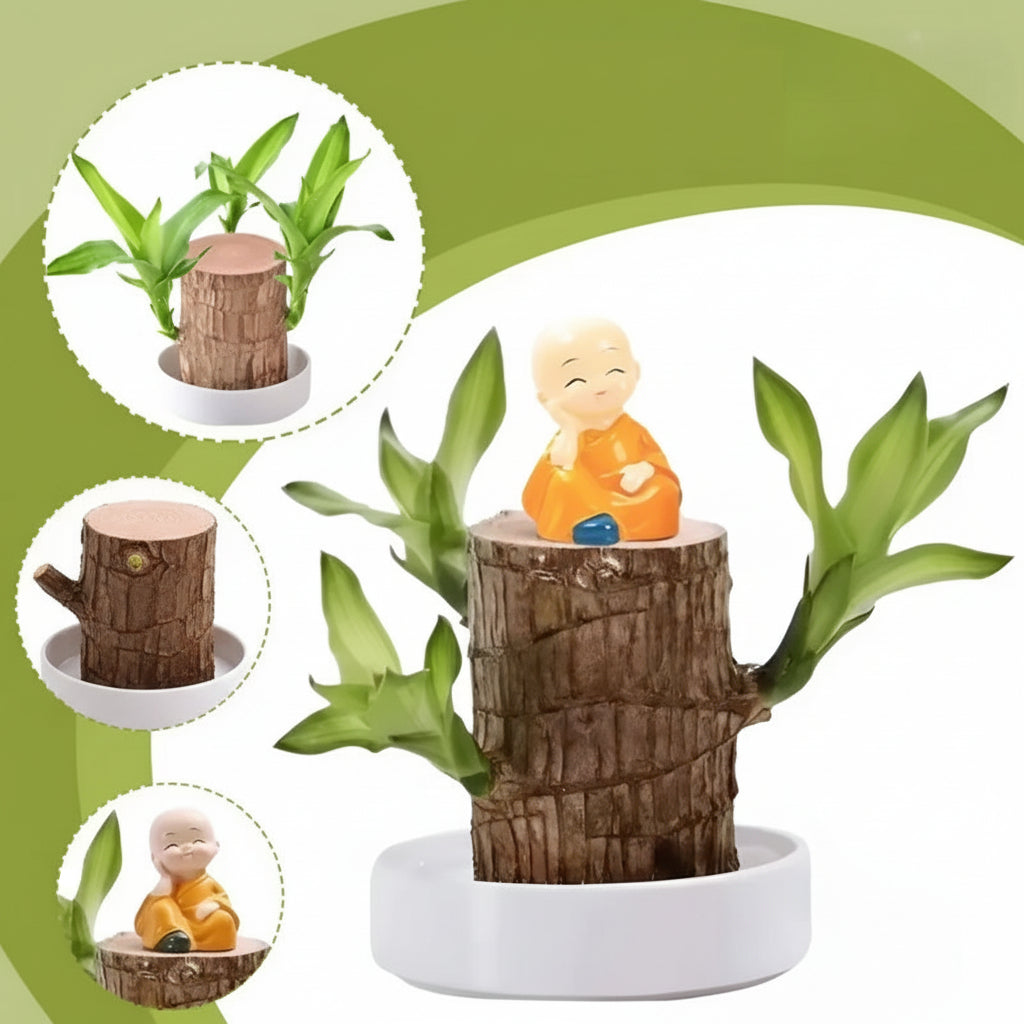 Soporte para Plantas de Madera en Forma de Árbol con Buda